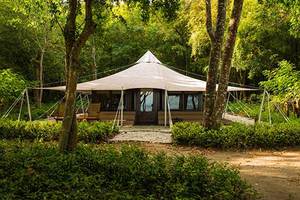 room_jungle-tent