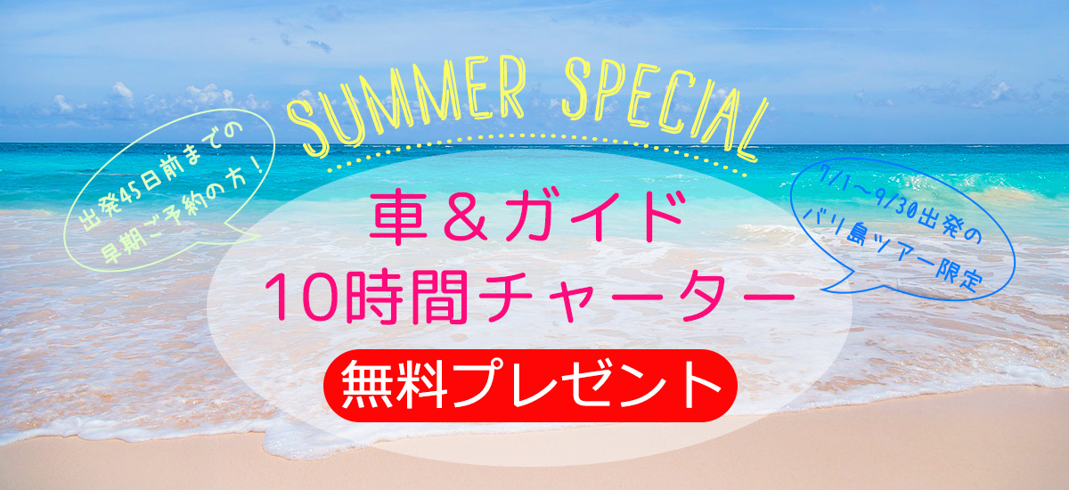 車＆ガイドチャーター無料プレゼント